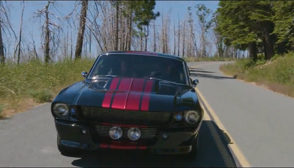 Black Mamba Mini-Movie