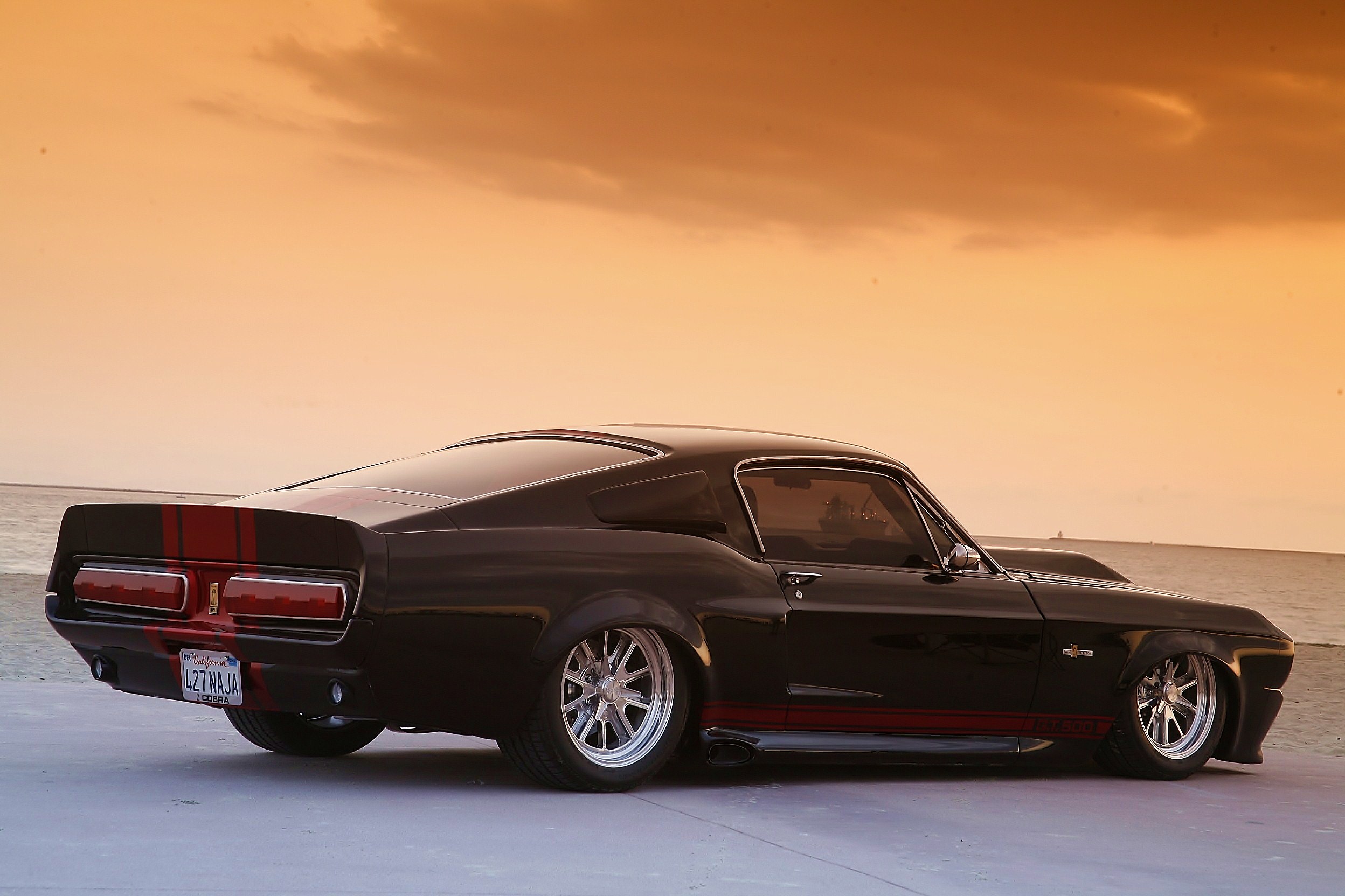 Rear stance view of The Black Mamba