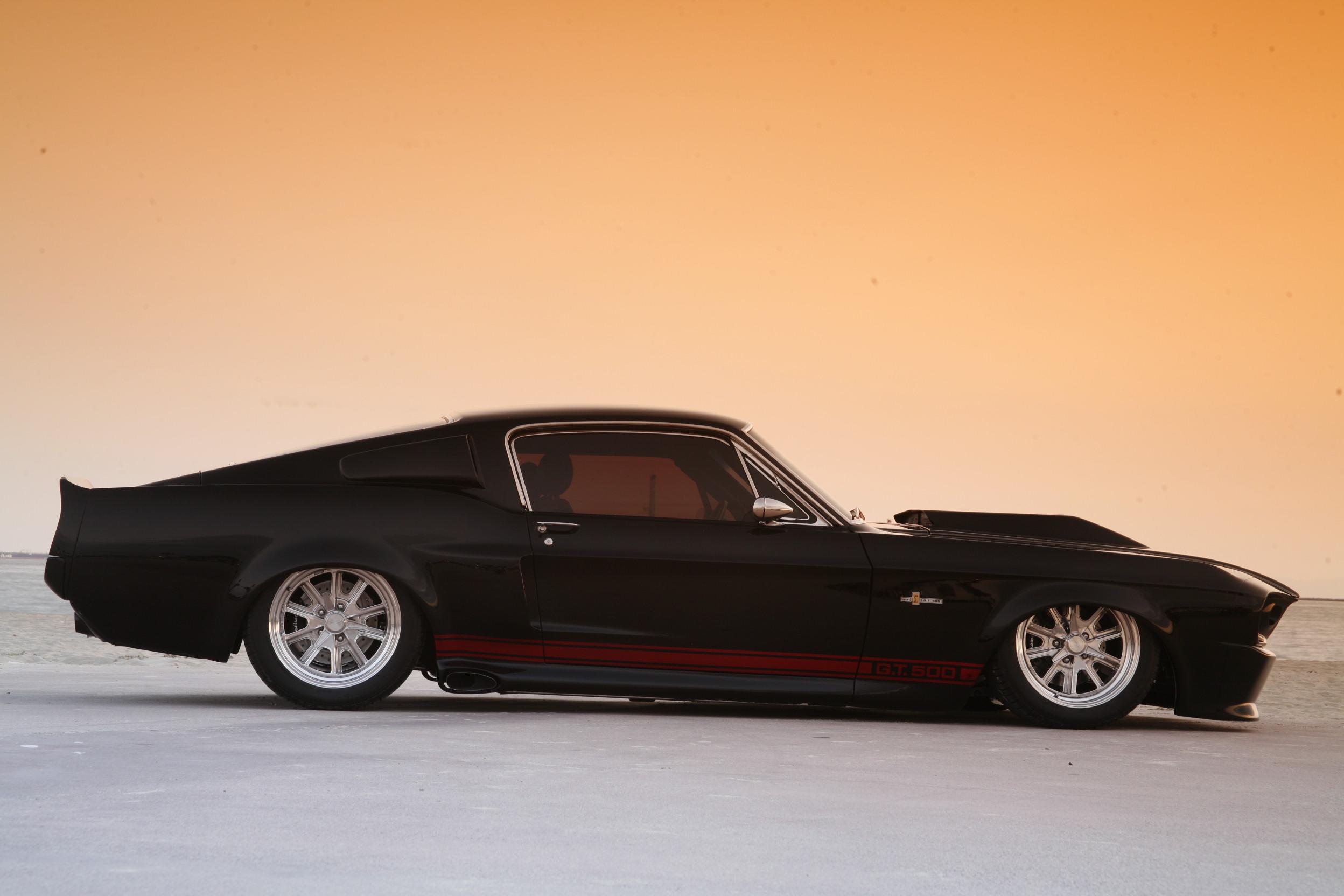 Side profile view of The Black Mamba