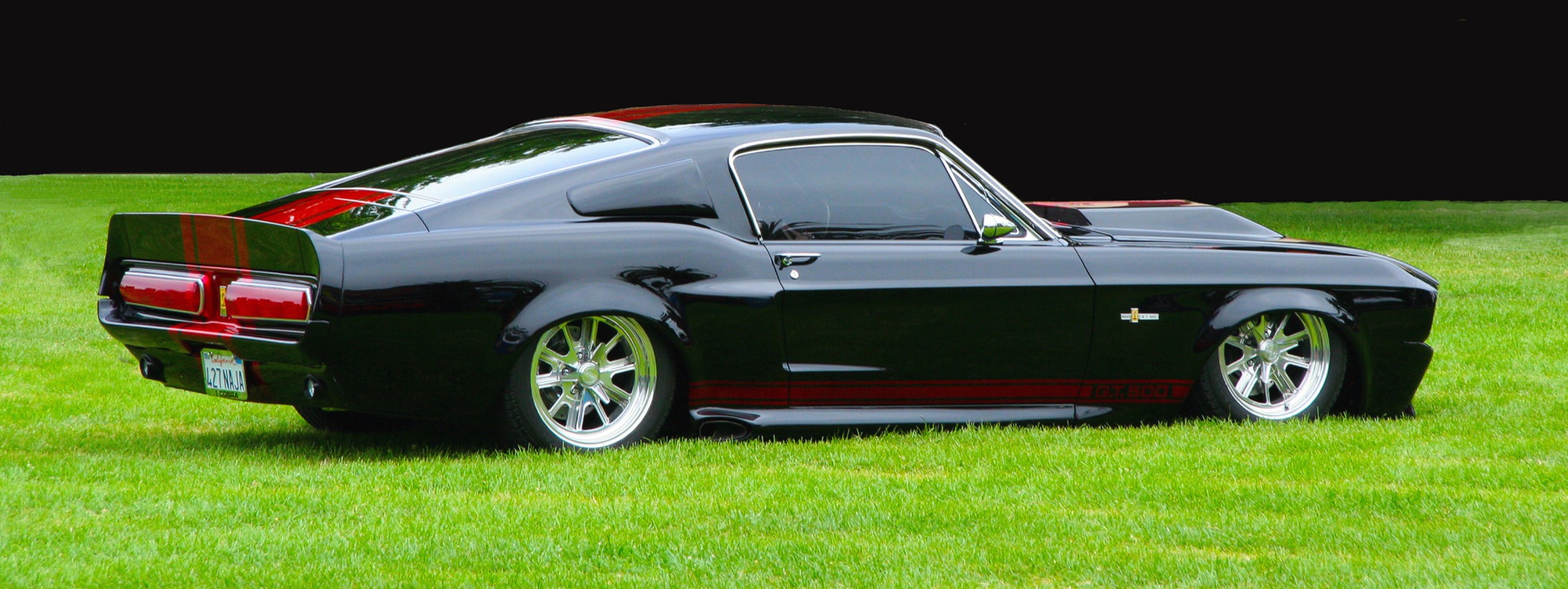 The Black Mamba specifications overview image