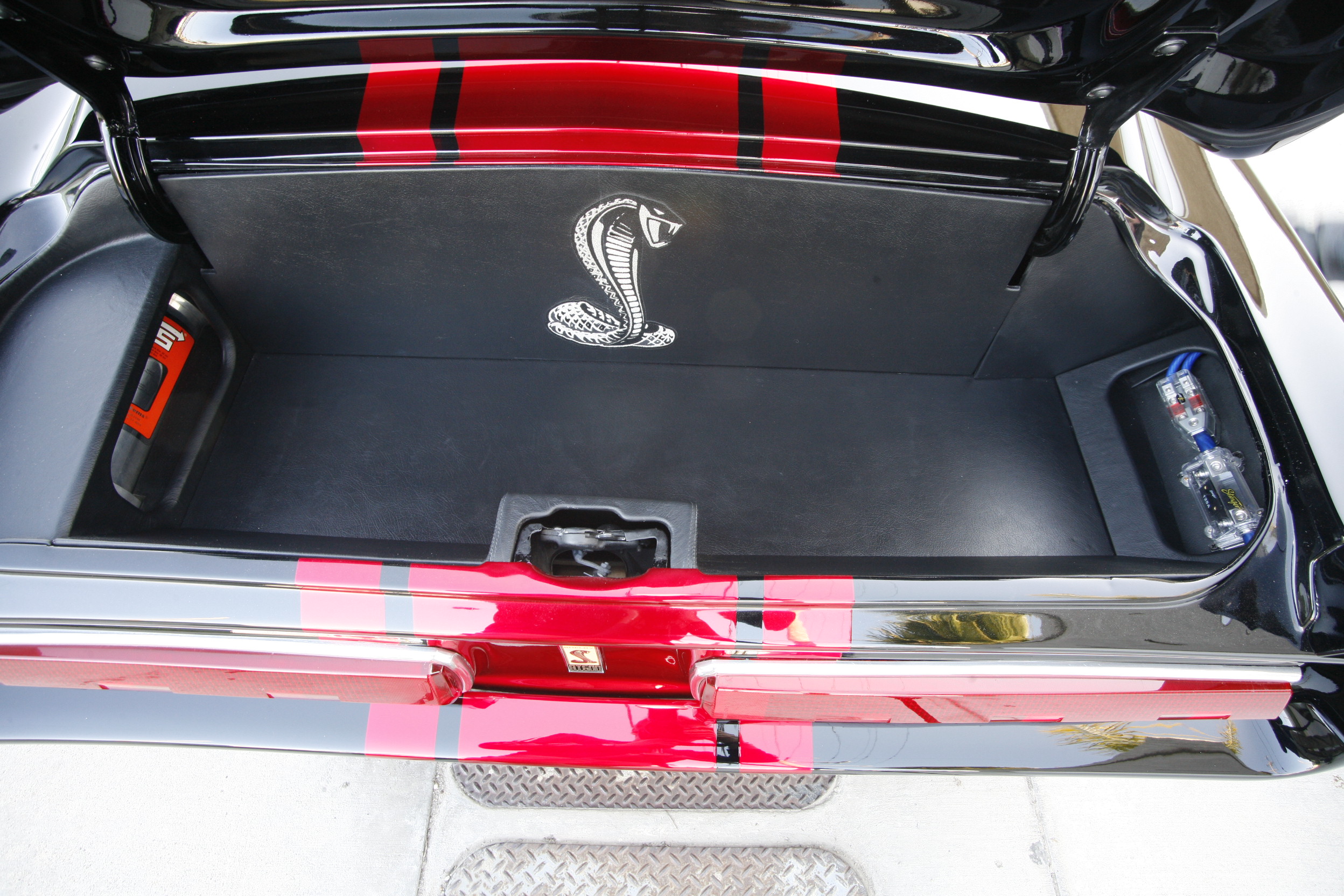 Trunk detail of The Black Mamba